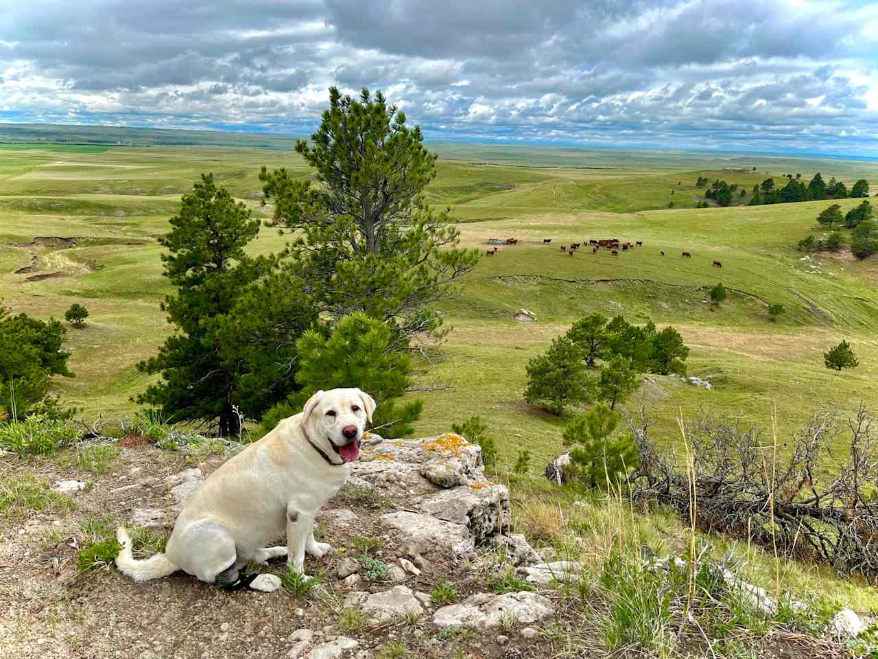 Guided Rock Farms