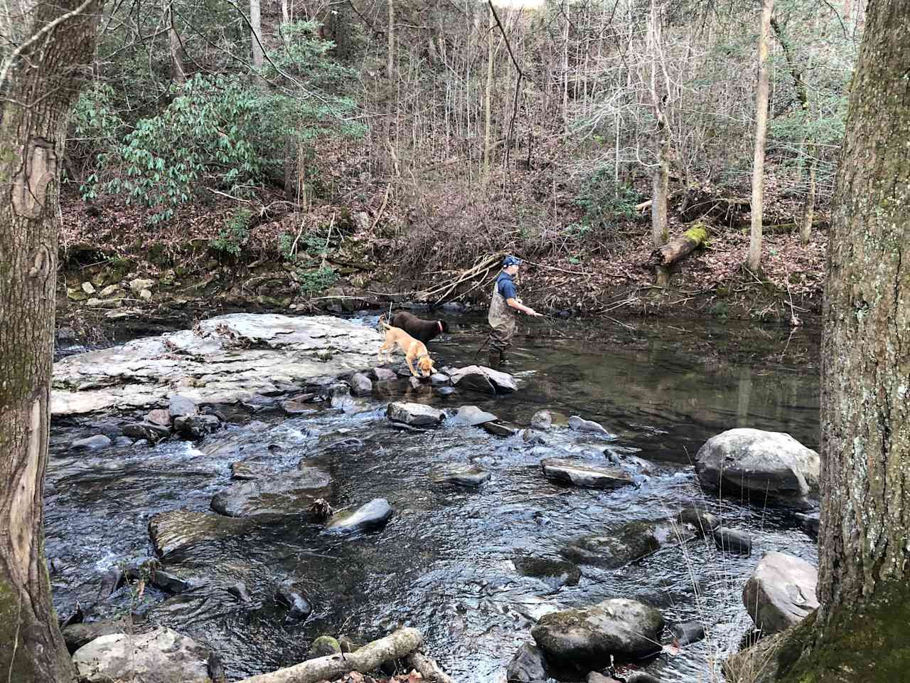 Hellbender Hangout