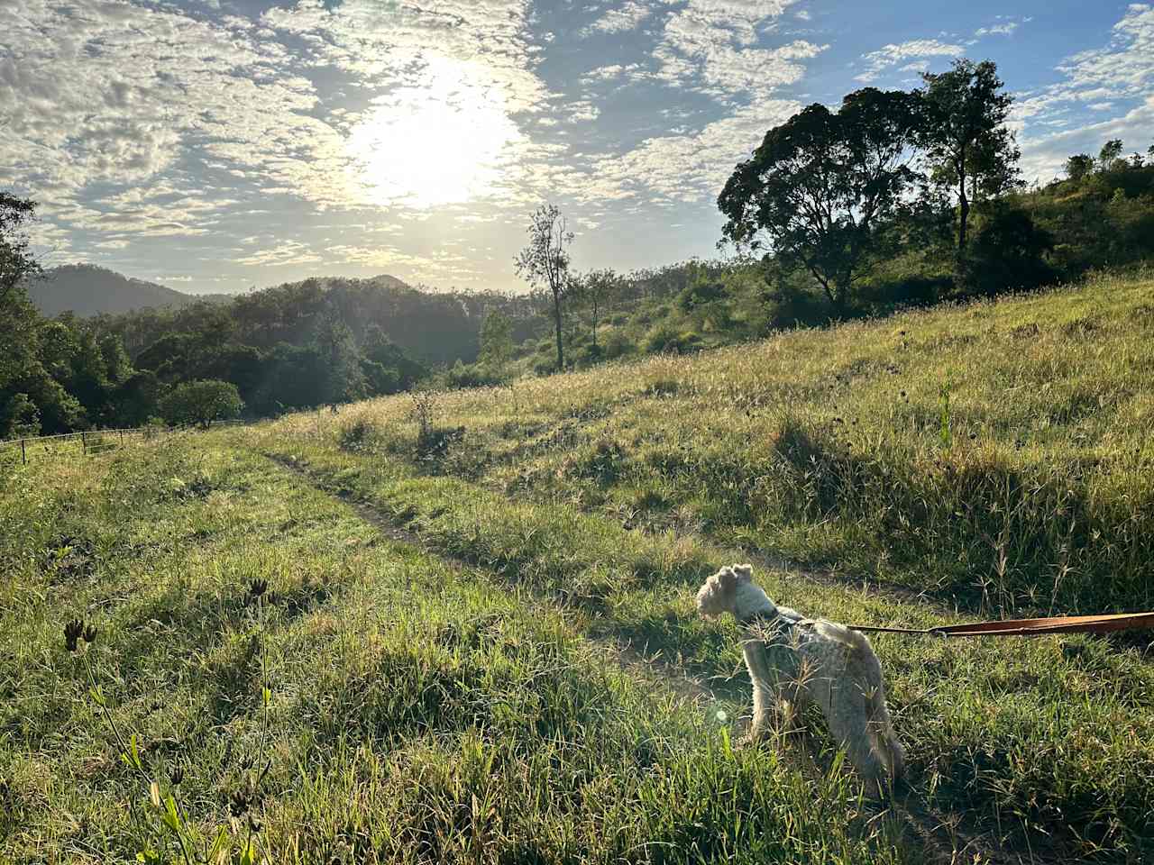 Hopevale Adventure Camping