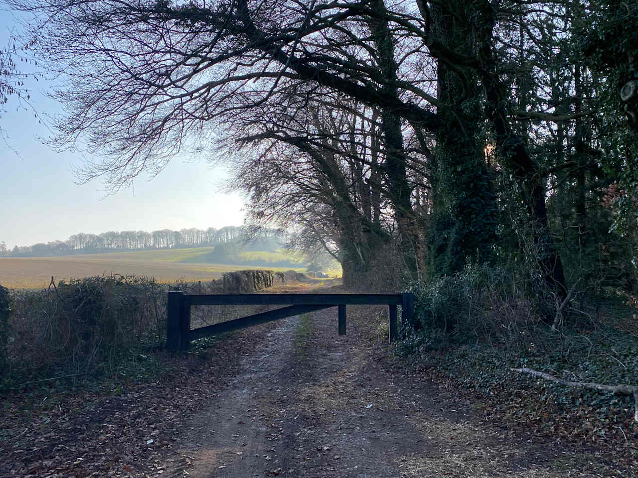 South Allenford Farm