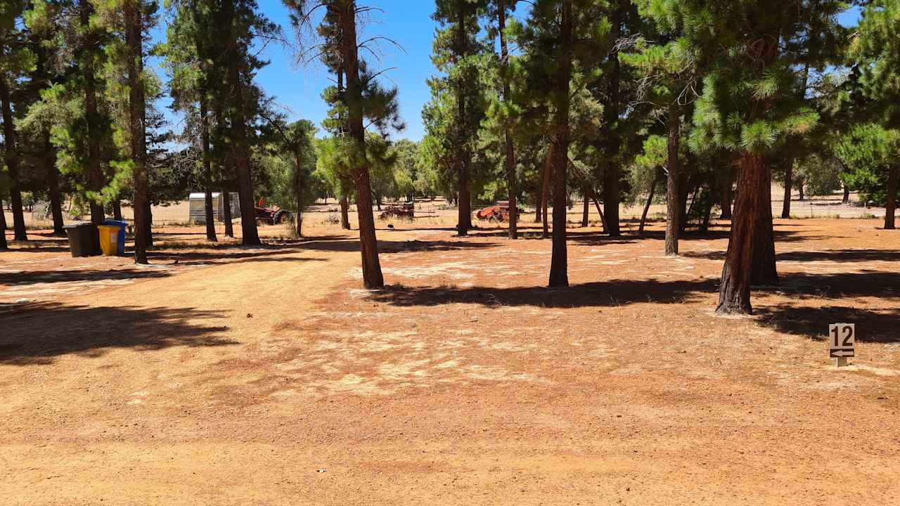Little Eeden Farm Pine Camp