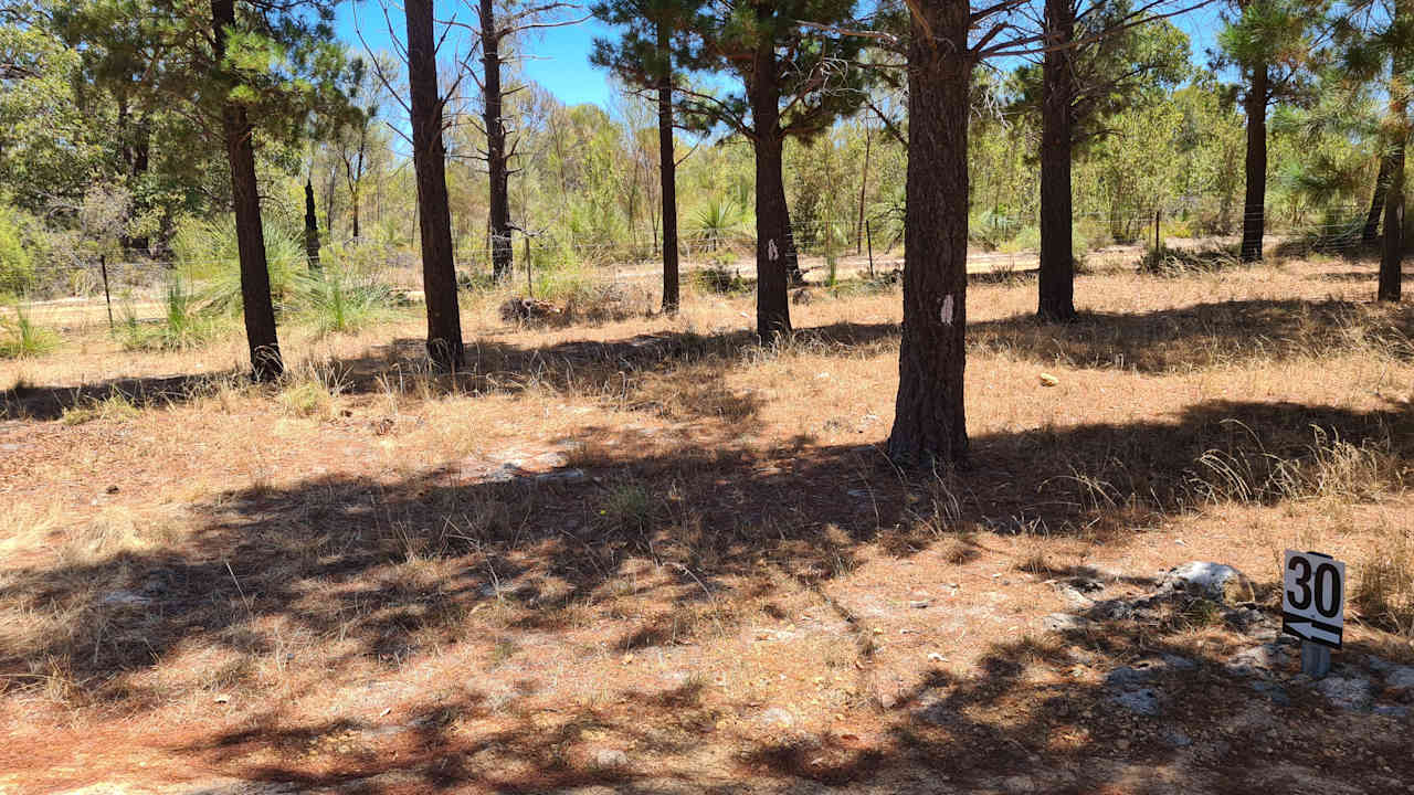 Little Eeden Farm Pine Camp