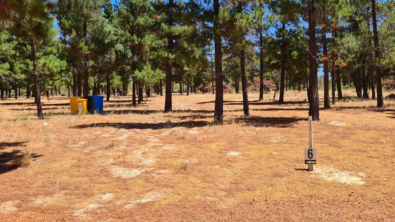 Little Eeden Farm Pine Camp