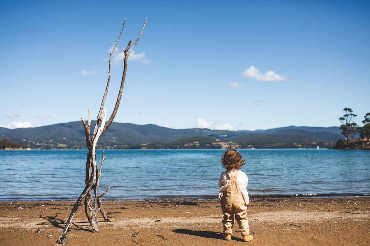 Quoll Hideaway - Bruny Island Bush & Beach camping