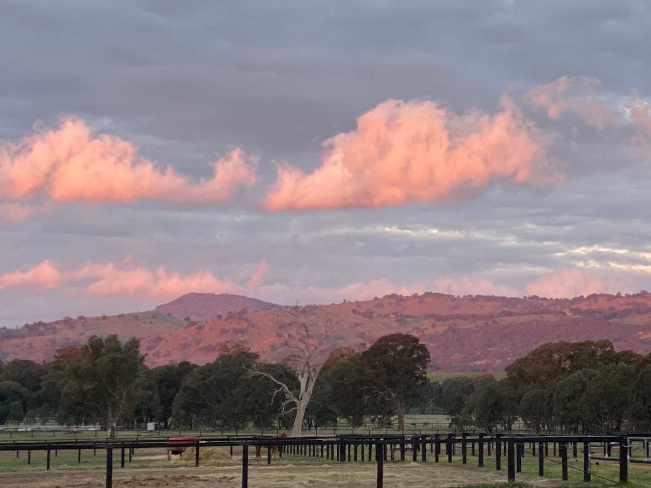 Euroa Horse Park