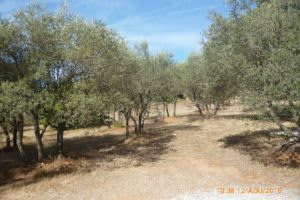 Bastide Virginie