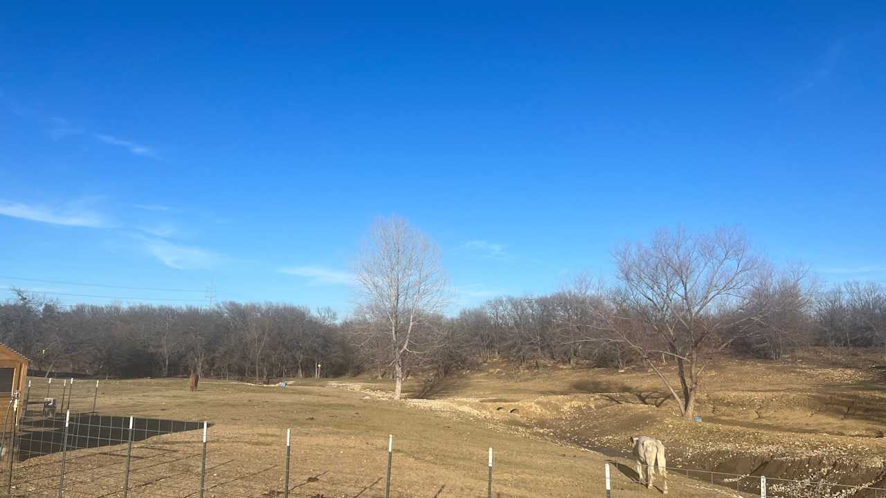 Camp on Farm close to City