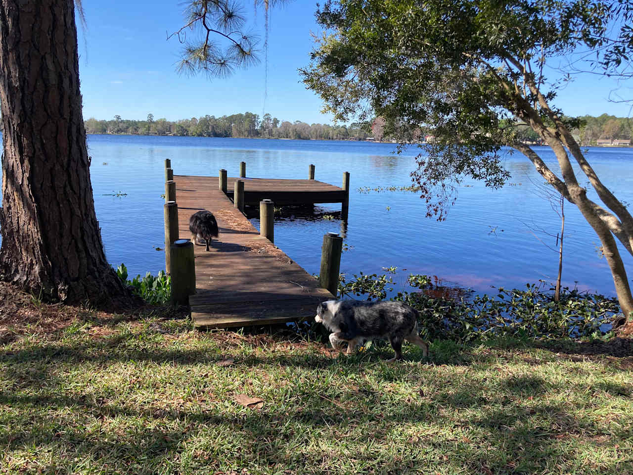 Lakeside Retreat @ Lake Ida