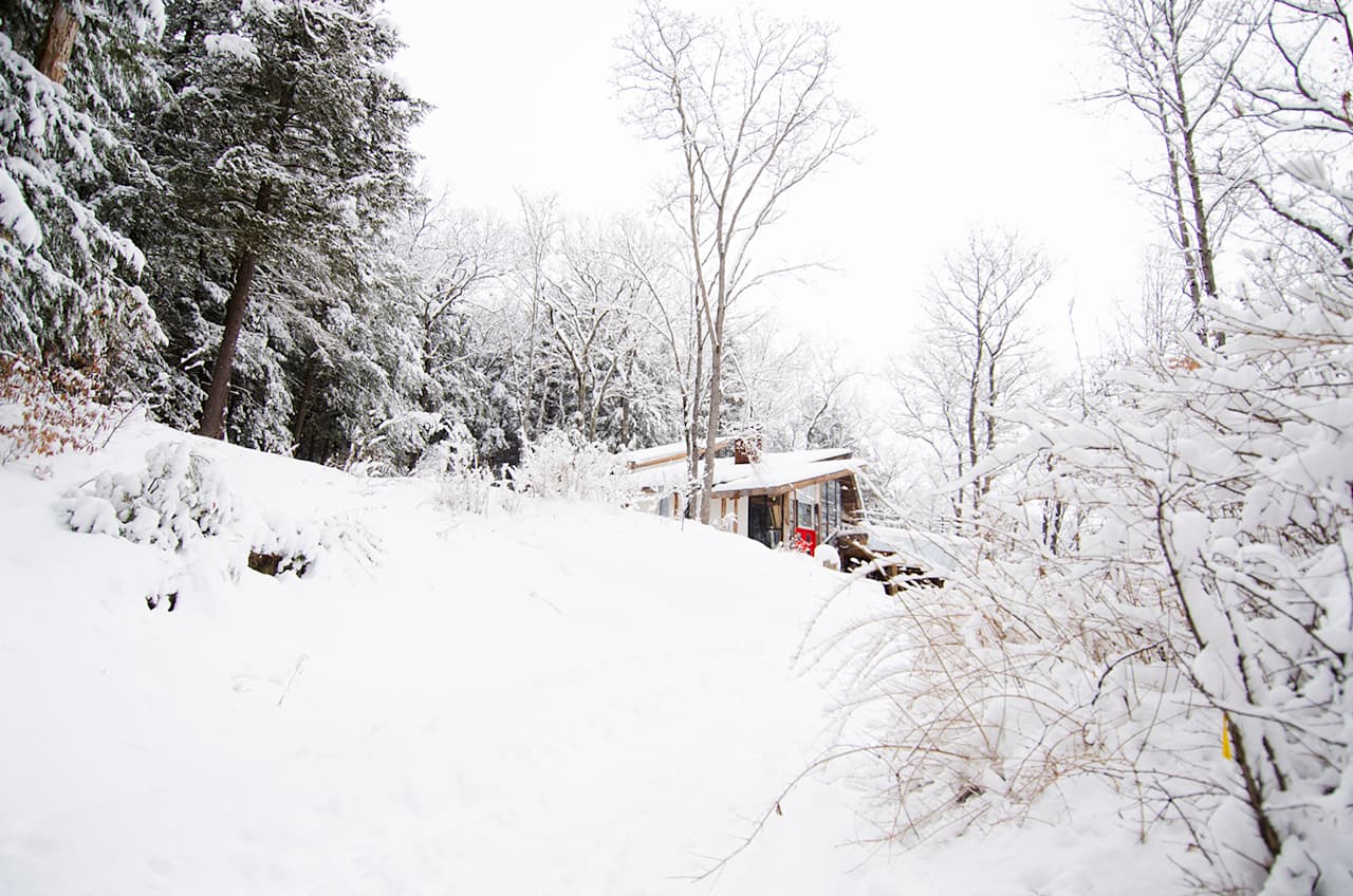 a view up the driveway, to the cabin.