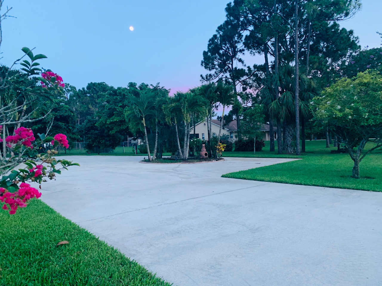Tropical Acres