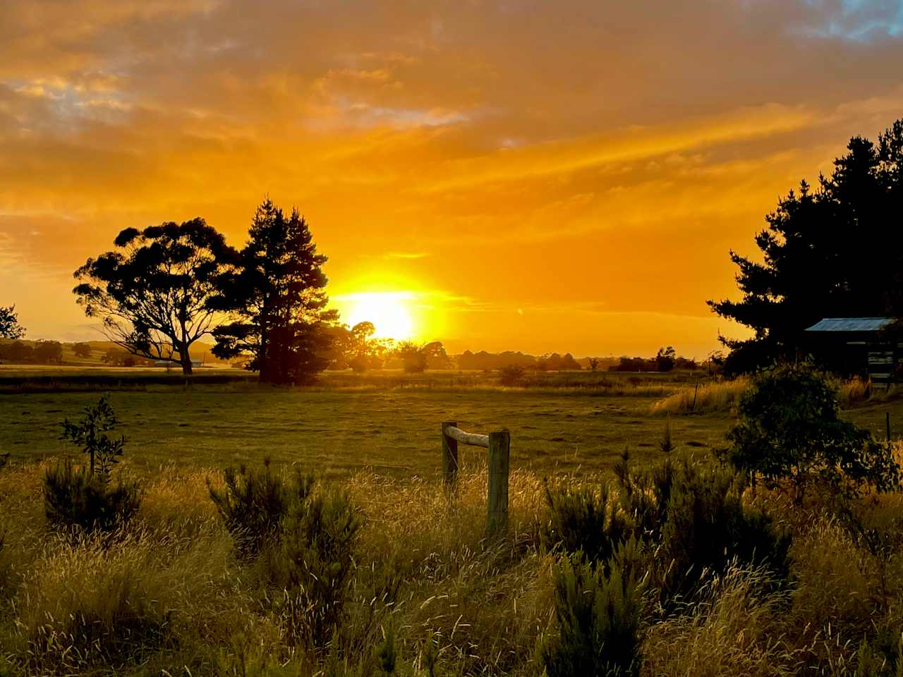 Pine Trees Farm -Waterloo