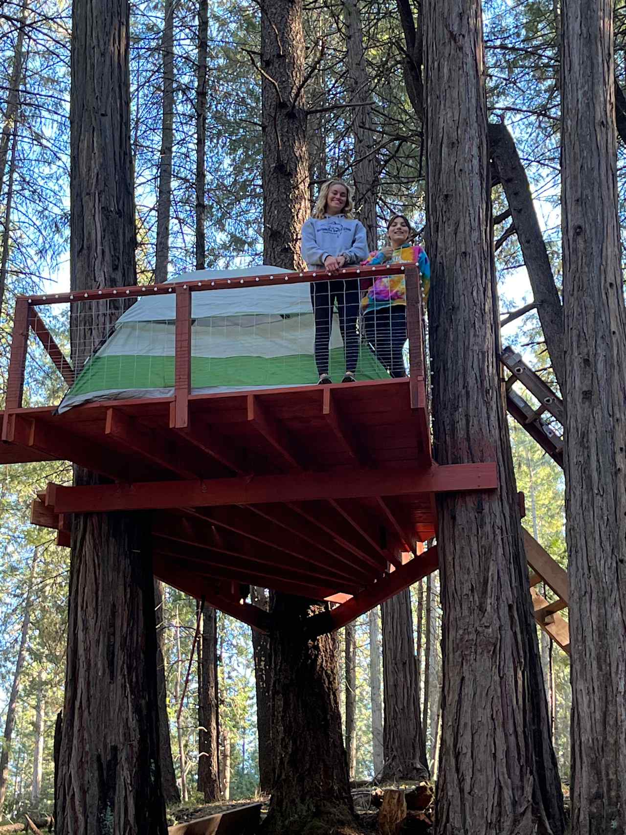 Tree house platform our kids like to put up the tent