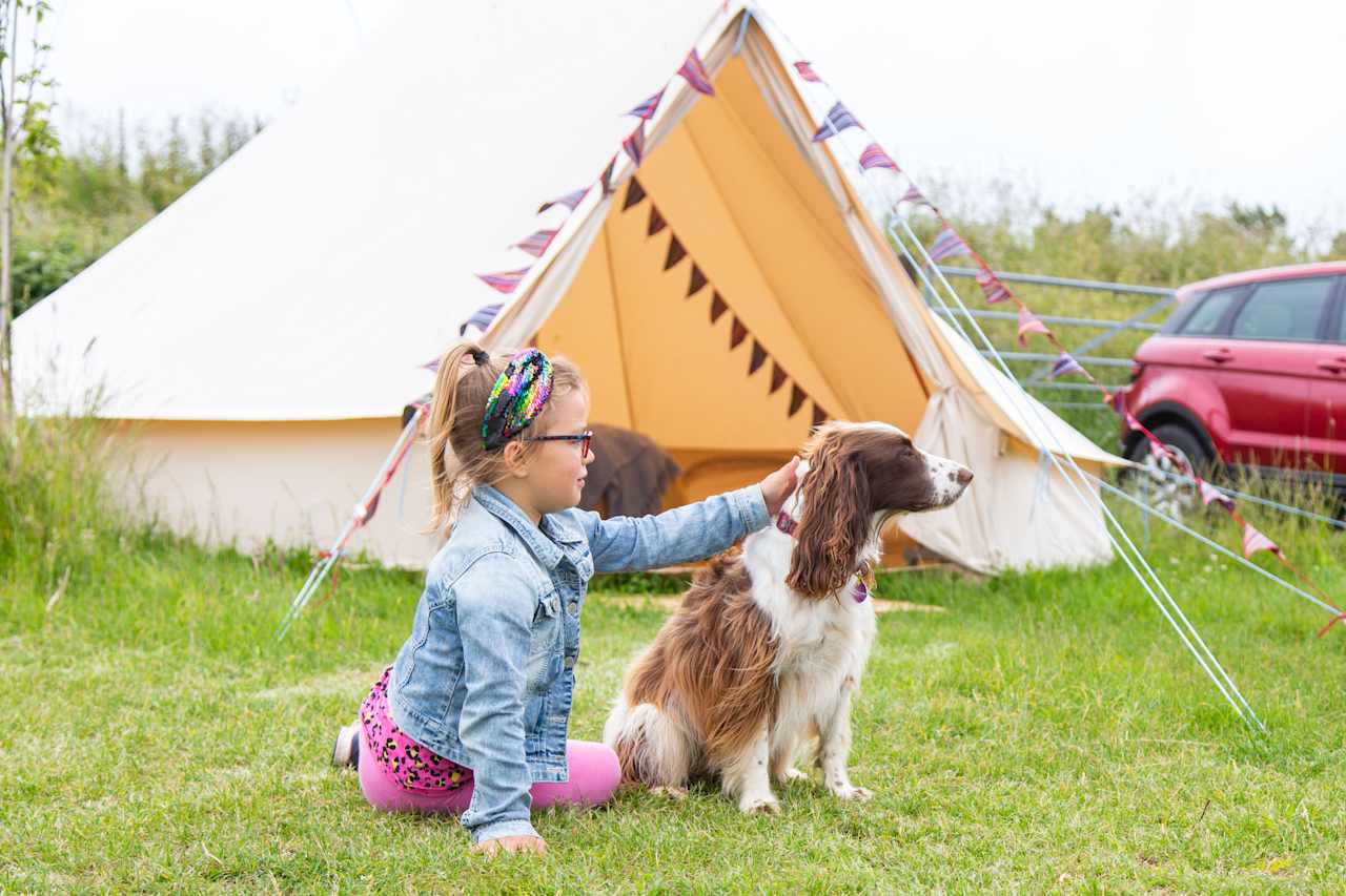 North Norfolk Camping & Glamping