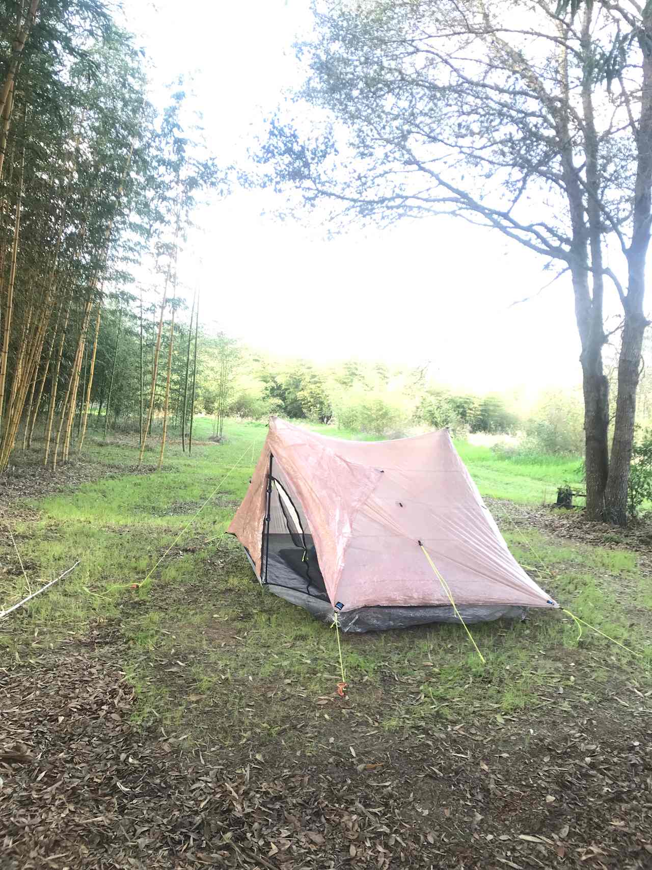 "ohe nui" Big Bamboo Rv