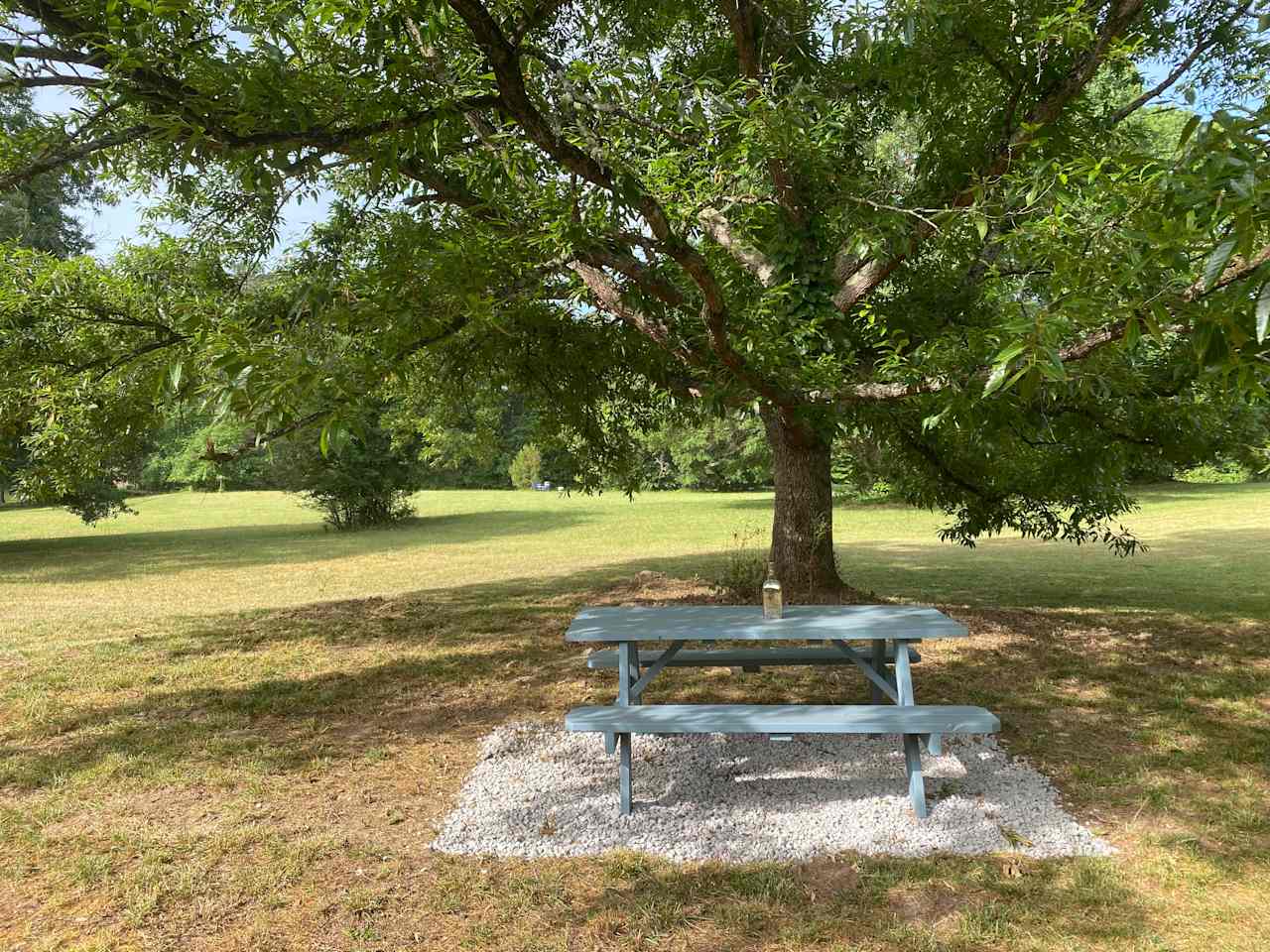 Perfect picnic spot overlooking the fields.