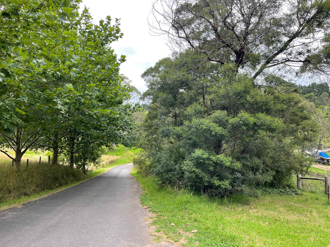 Standing at our driveway turn off looking down the road 