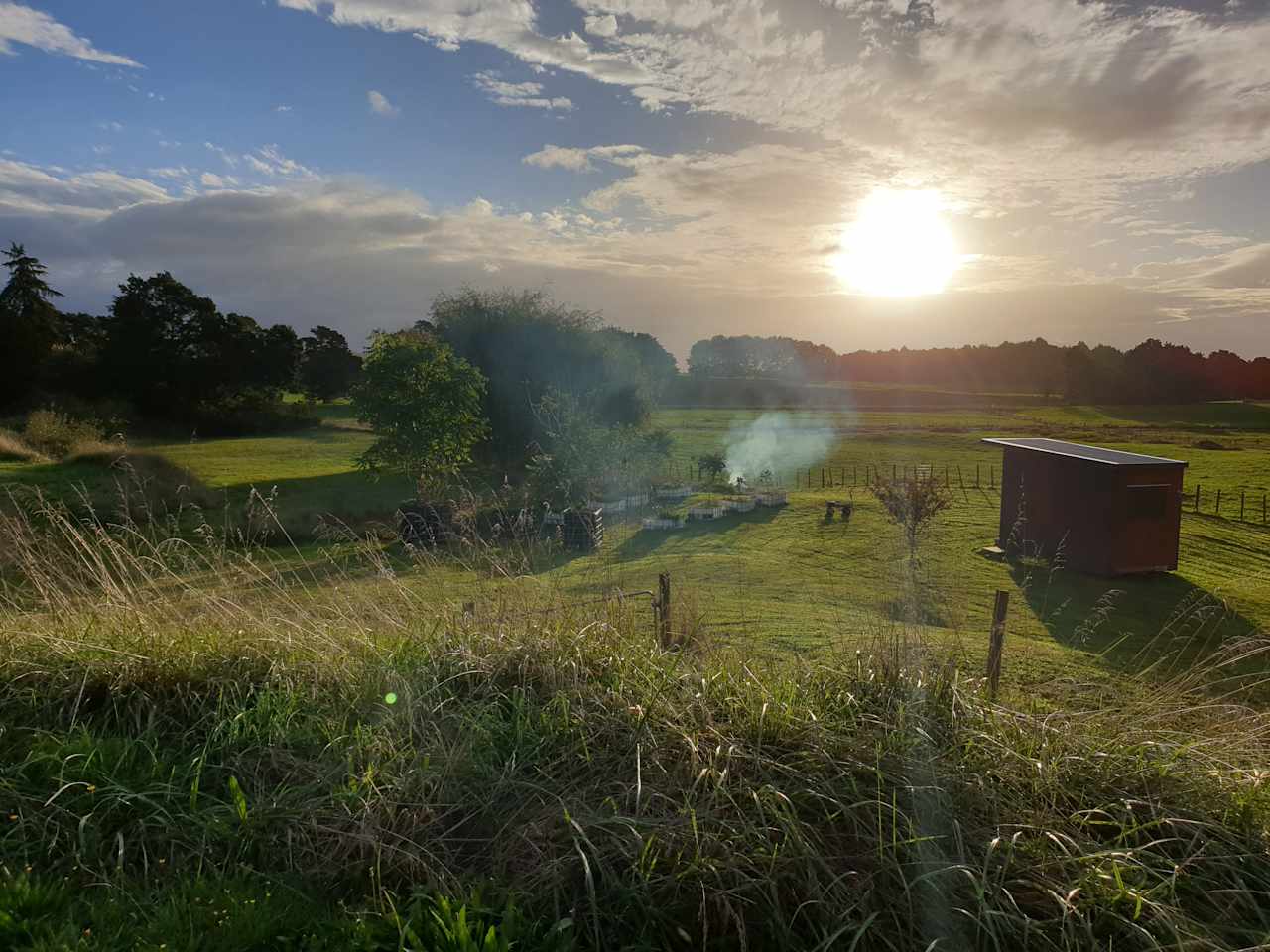 Whitikahu Glade