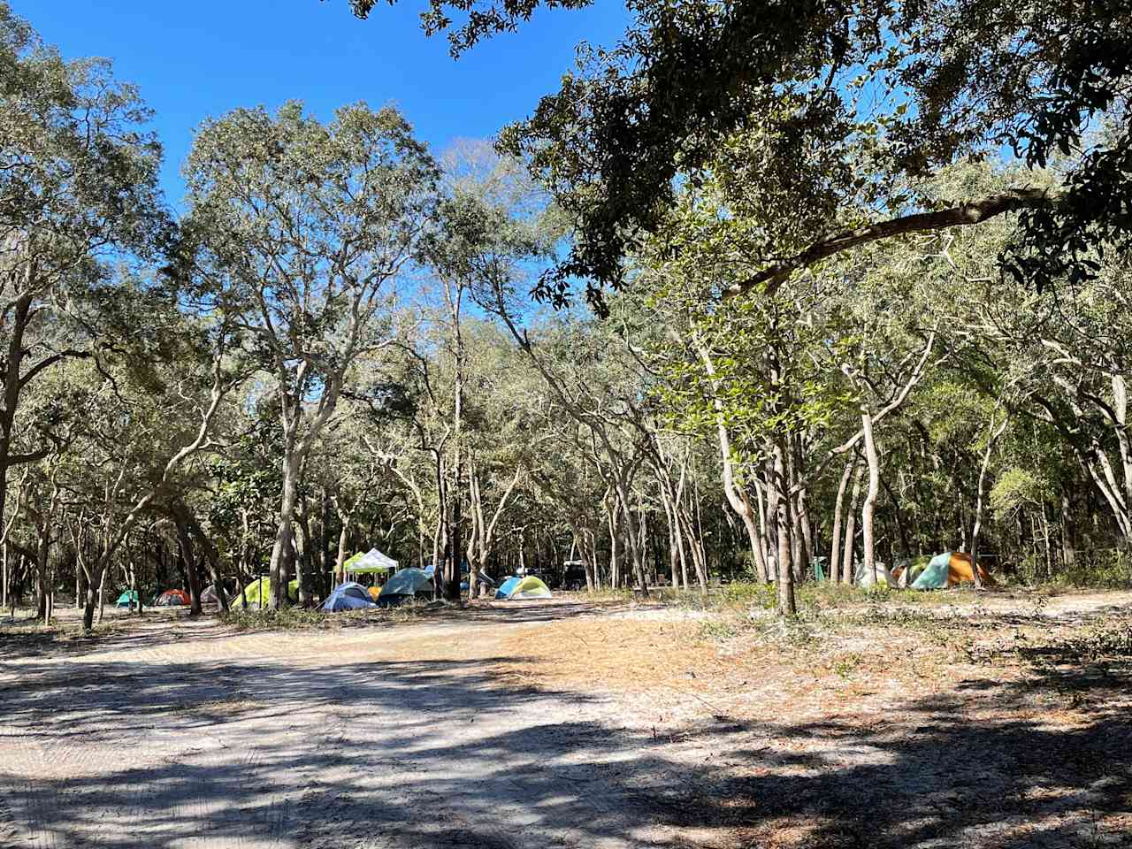 "It's a rainbow of tents" -Jade when we hosted group of 20 Girl Scouts 