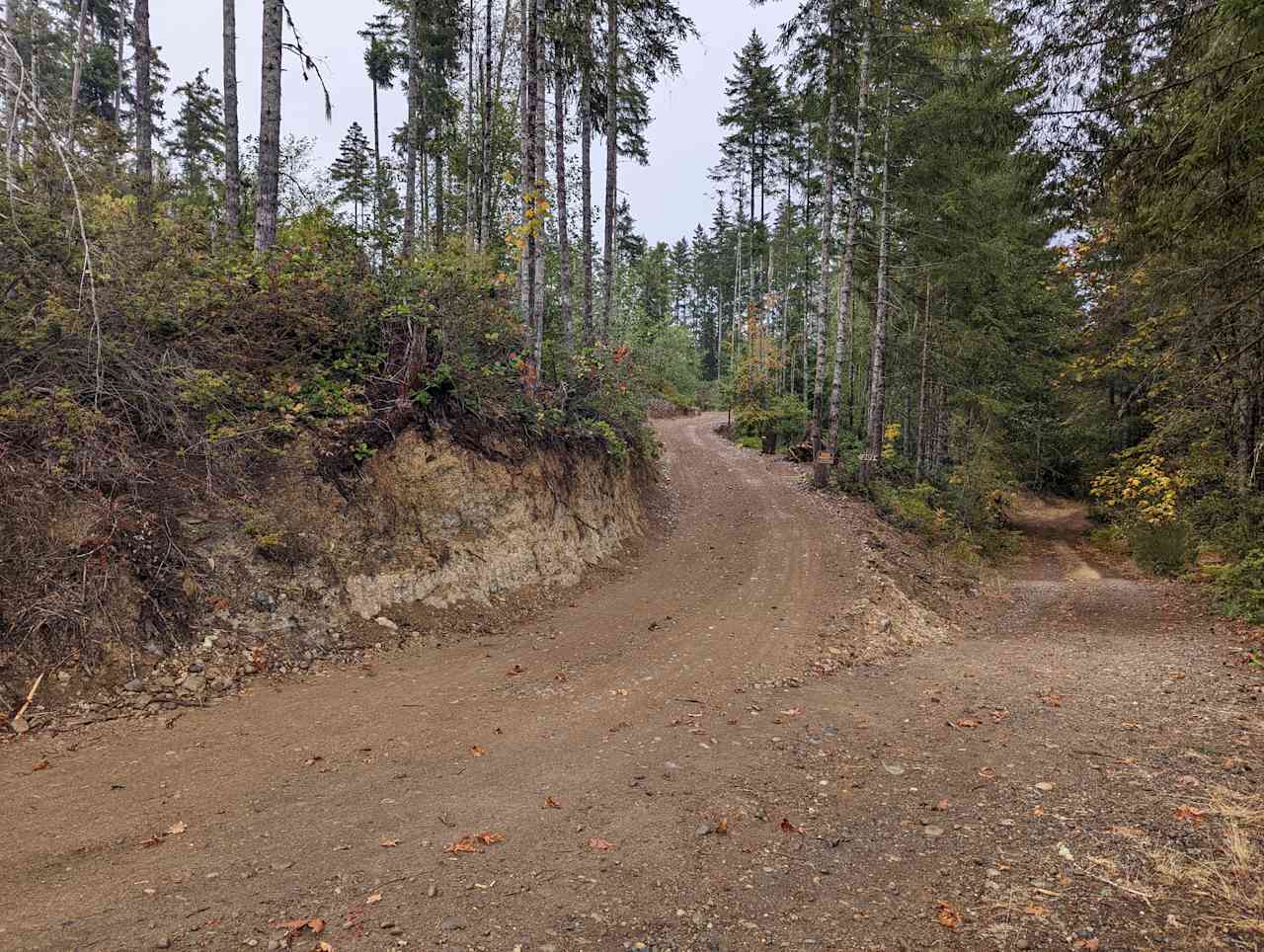 This is the entrance driveway looking NorthEast up the driveway from the road. 