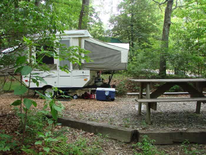 Ash Grove Cabins and Camping