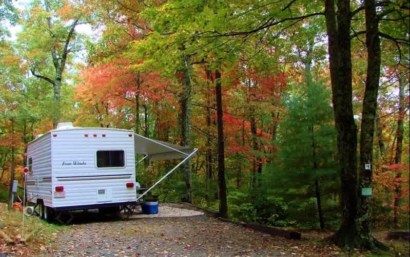 Ash Grove Cabins and Camping