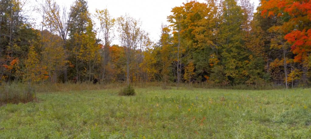 Rowley's Saugeen River Adv. Acres