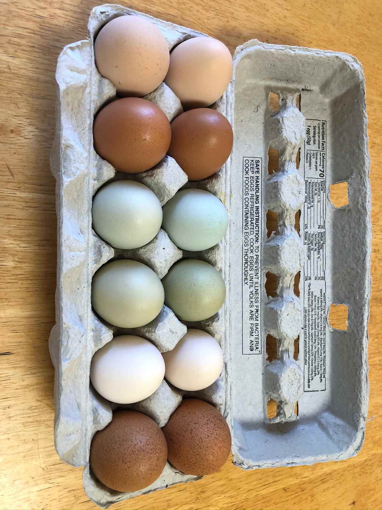 Farm fresh eggs in all colors available for sale