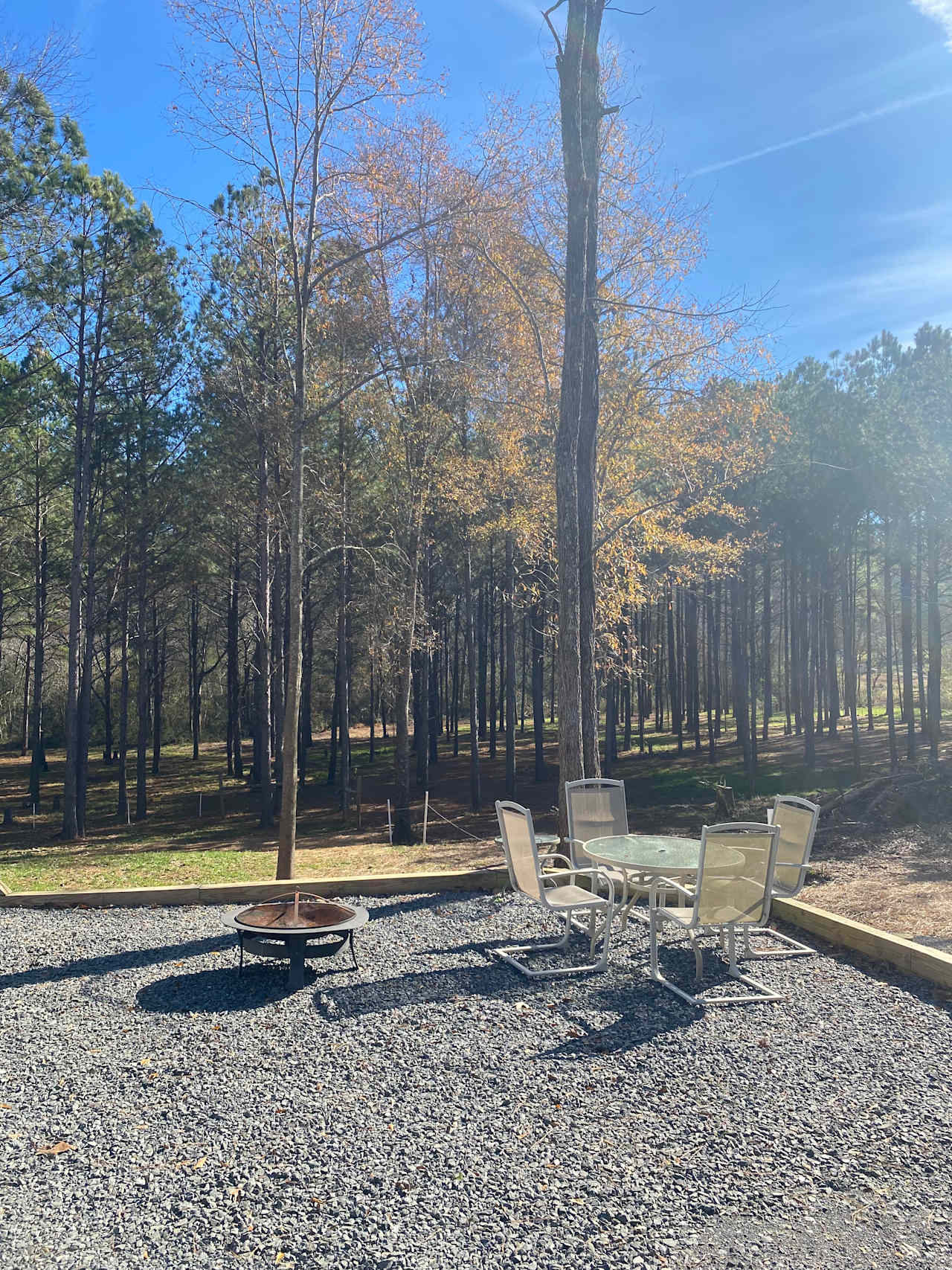 Camping in the woods in Ocoee