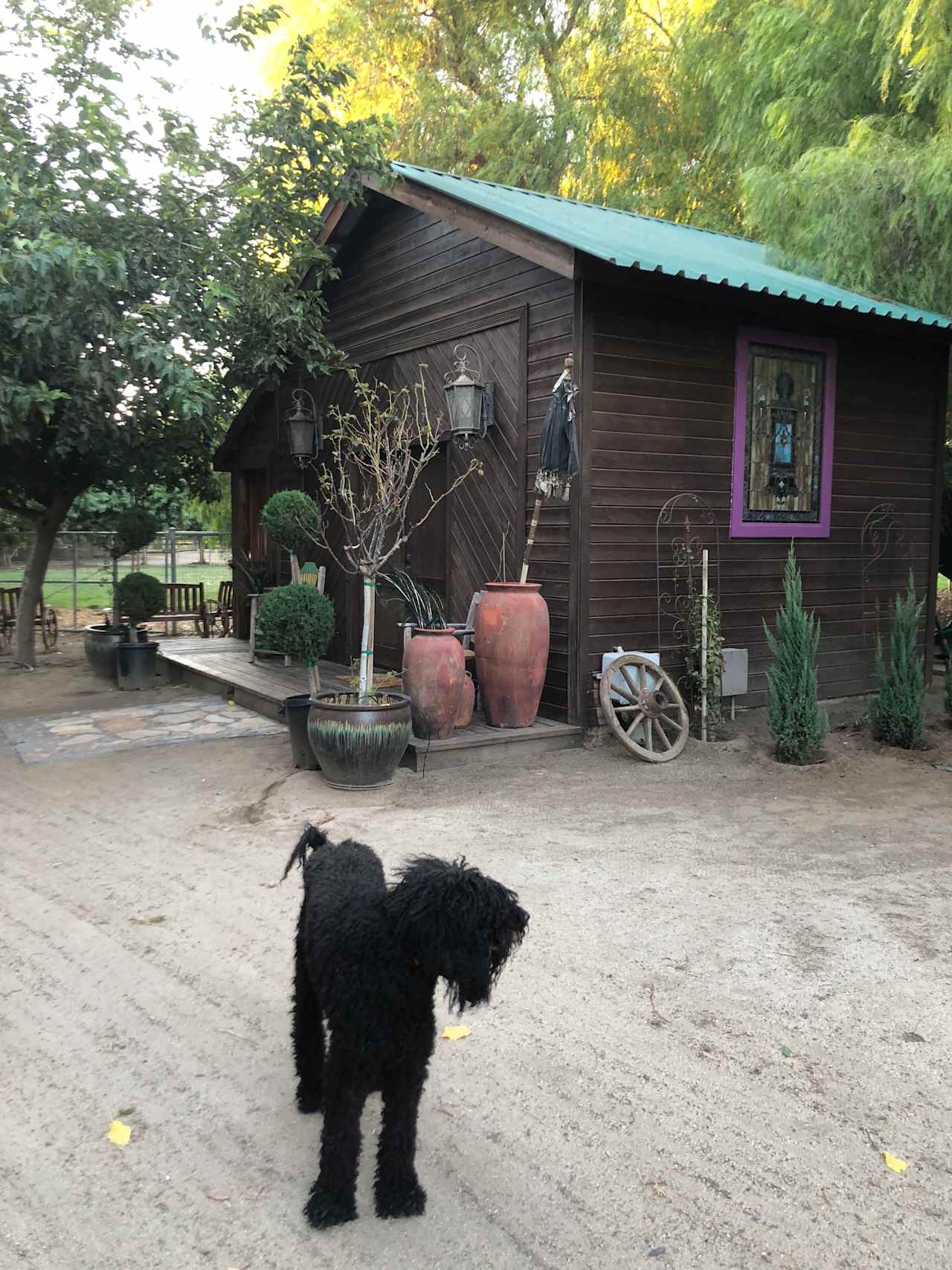 Hay Barn on Working Sheep Ranch