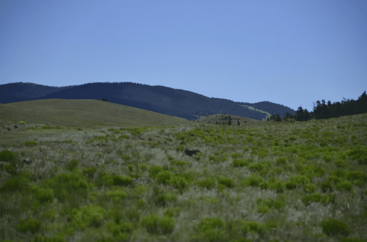 Panoramic Colorado Mountain Views