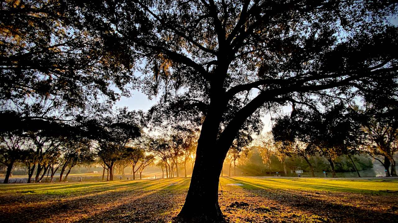 Enjoy breath taking morning views