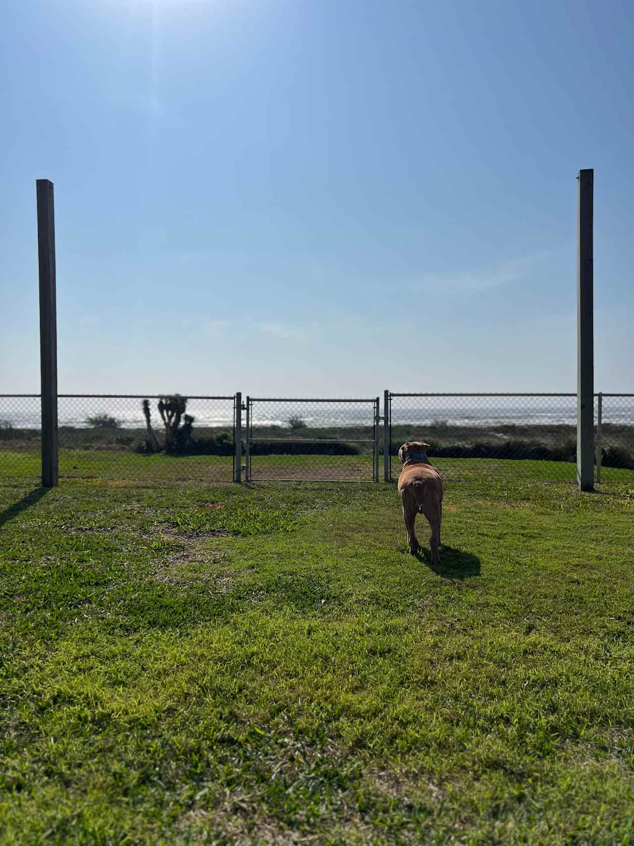 Fenced area perfect for pets. 