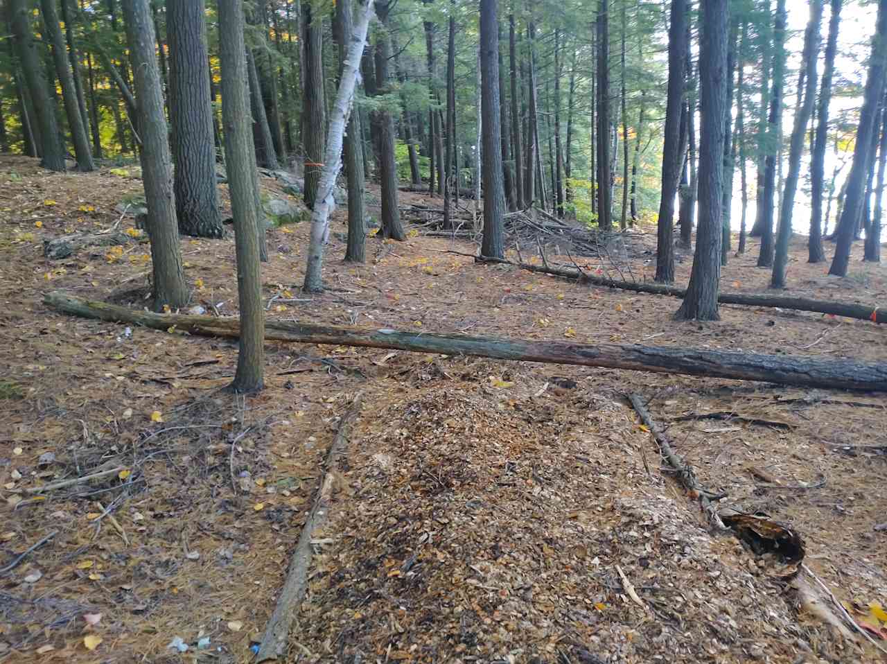 Muskoka Lake & Sauna retreat