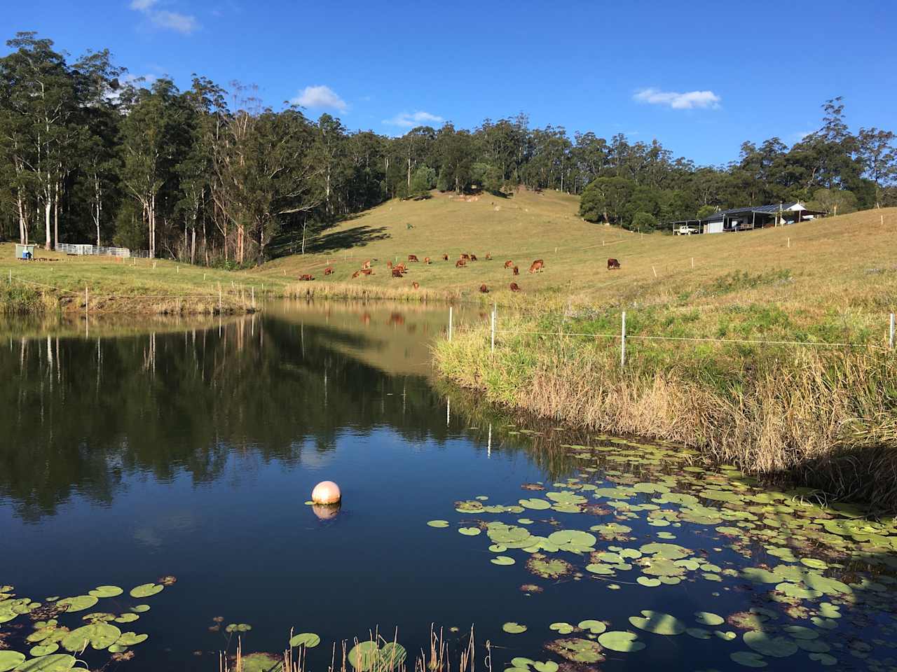 Dam view with Tin shed in the distance