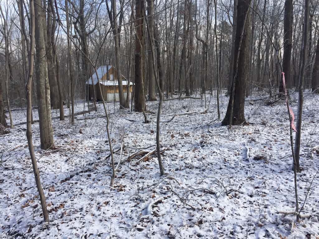 Cabin and Barn on 20 Peaceful Acres