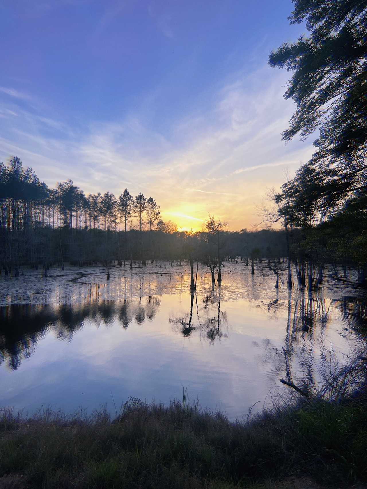 Wild Cherokee Farm