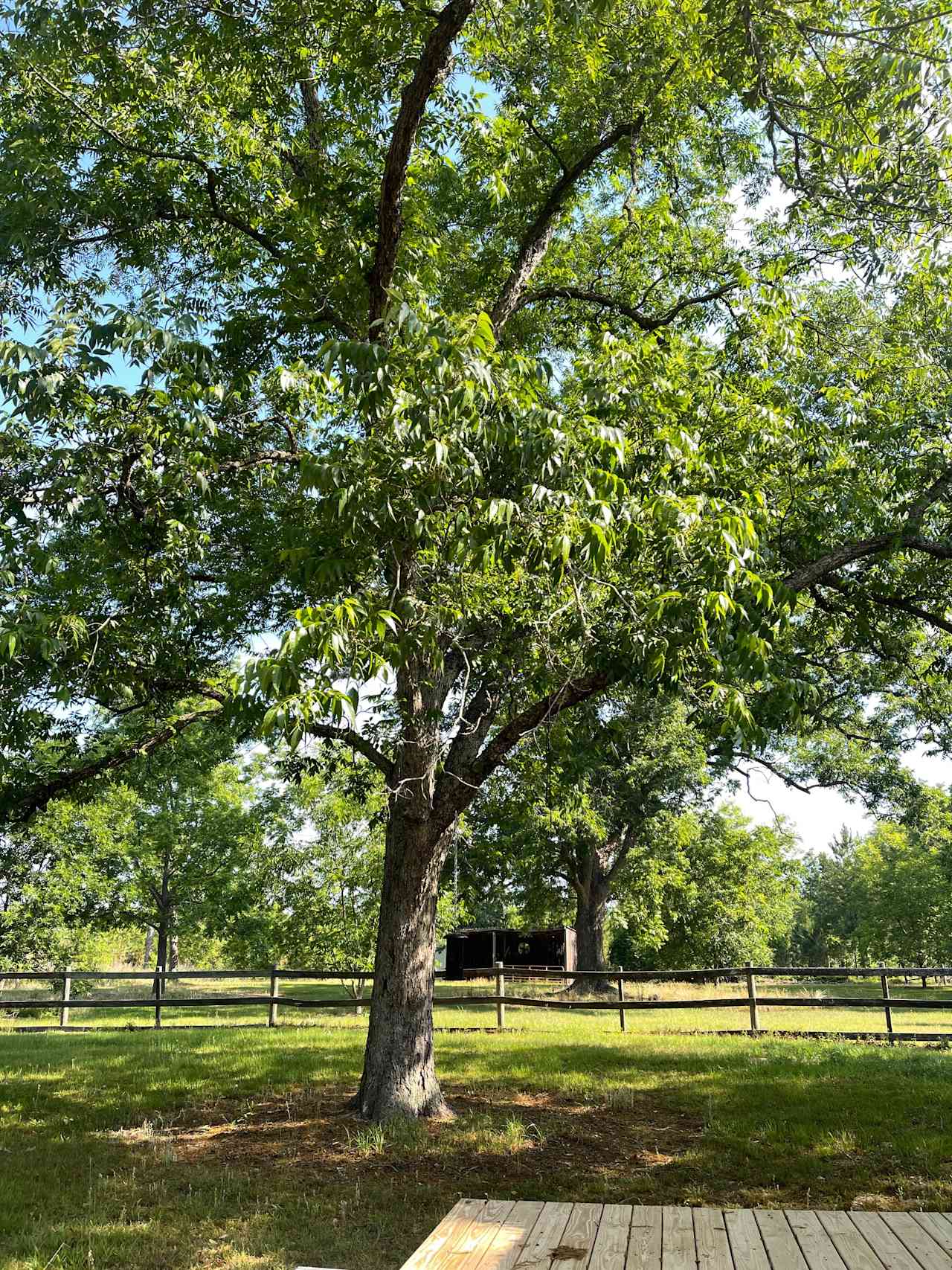 Wild Cherokee Farm