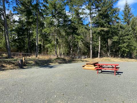 Wild Coast Parksville Campsite