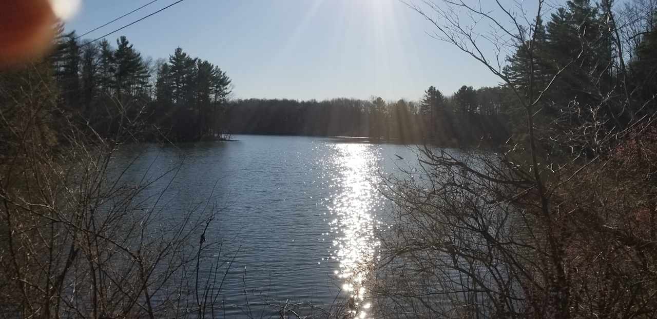 A view of the Lake from the North end