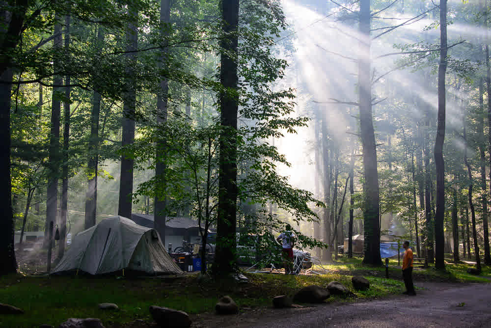 Elkmont Campground // Photo courtesy of Great Smoky Mountains National Park and Warren Bielenberg