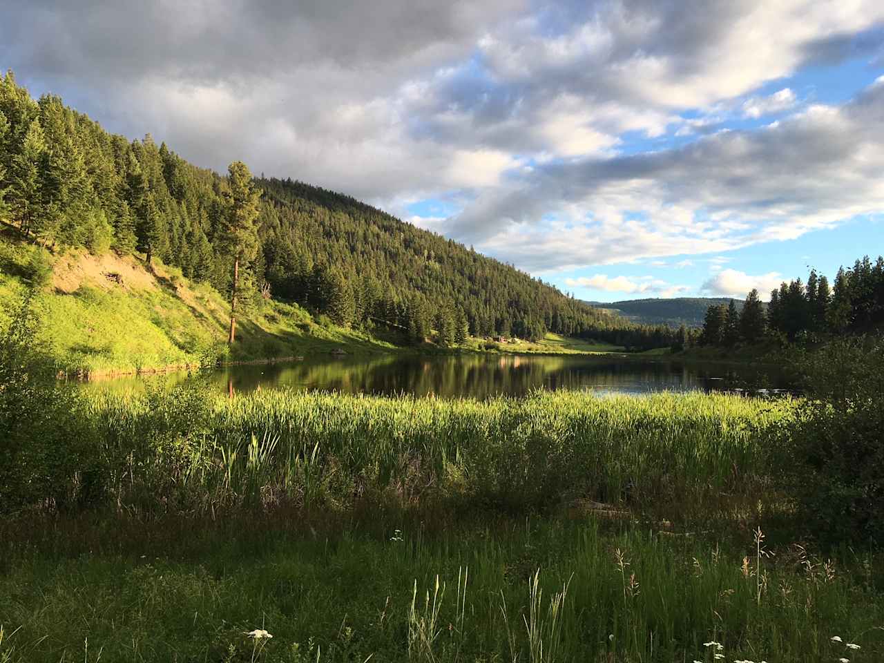 Lots of great hiking on old forestry skid trails surrounding the lake