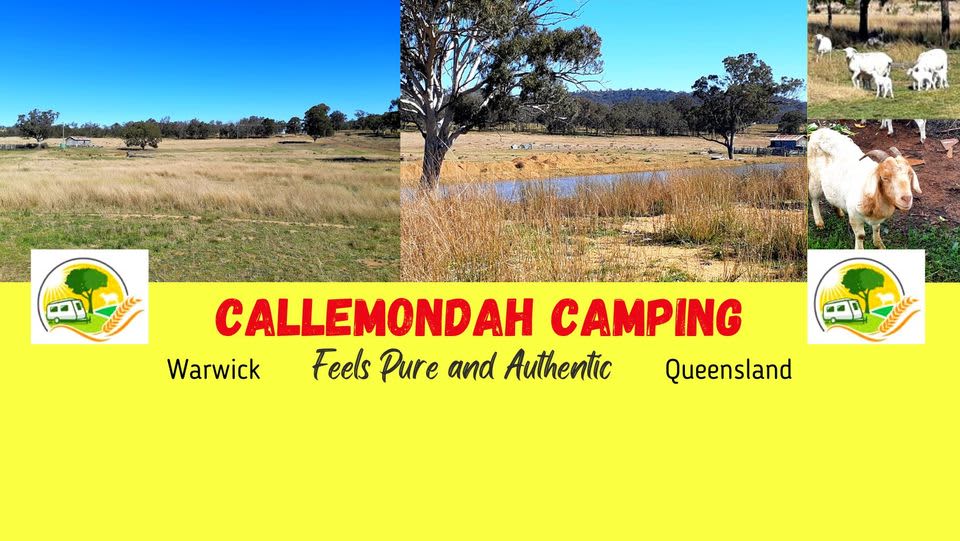 Callemondah Farm Camping