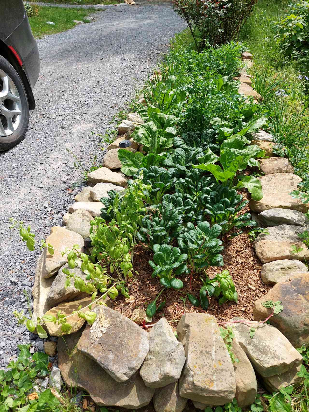 zone 1 kitchen garden