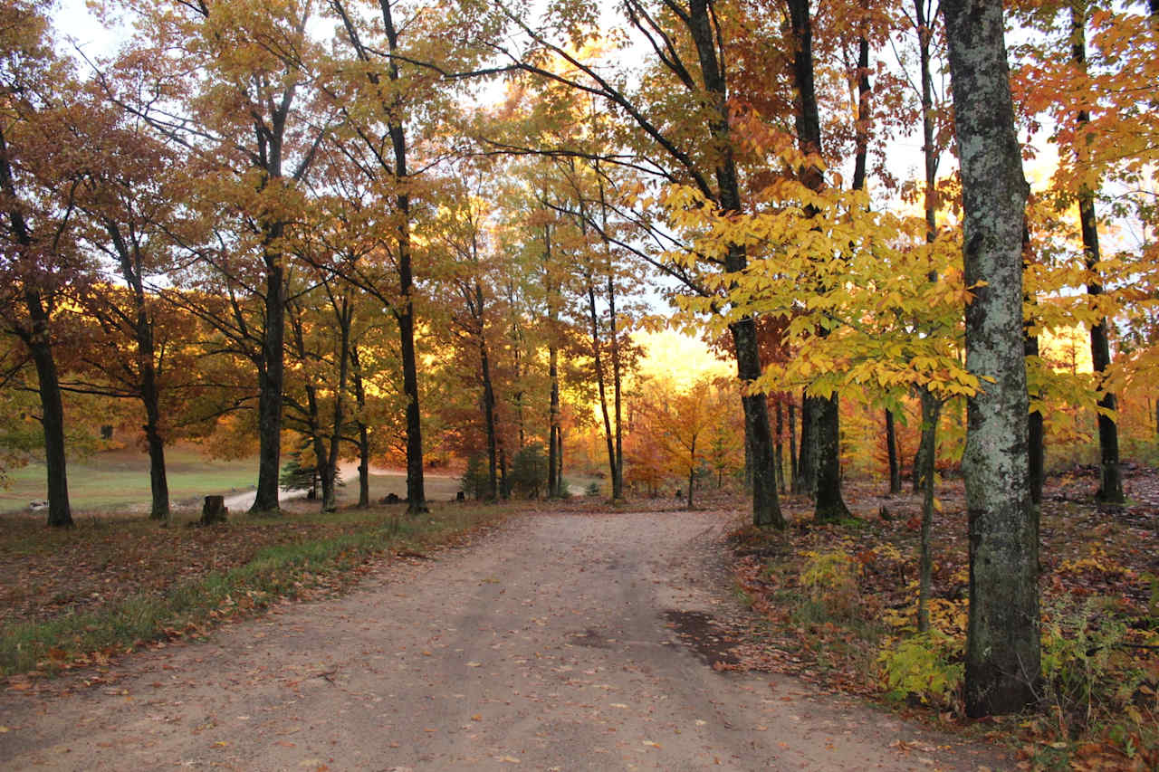 Driveway View