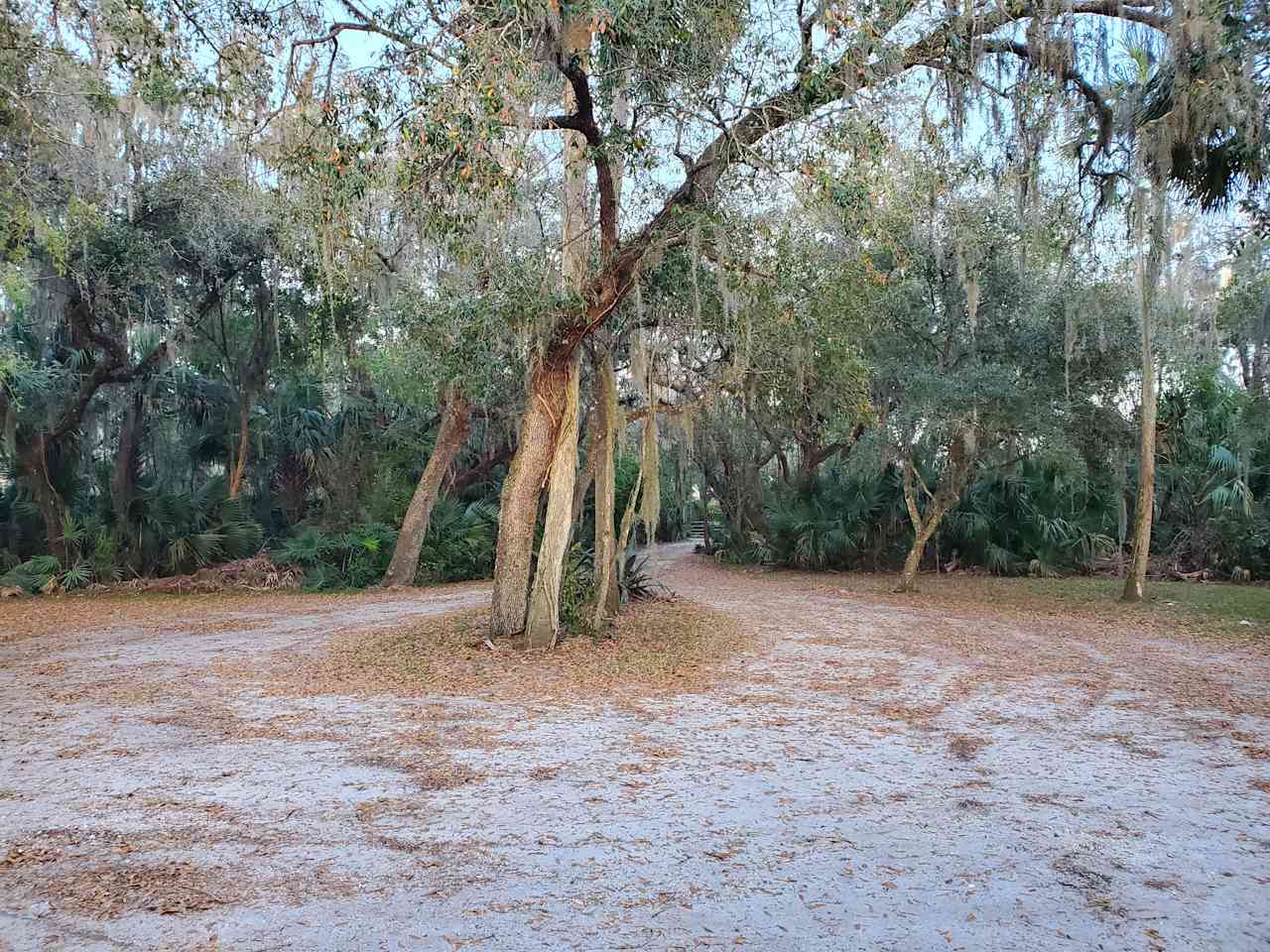 Driveway entrance & exit.