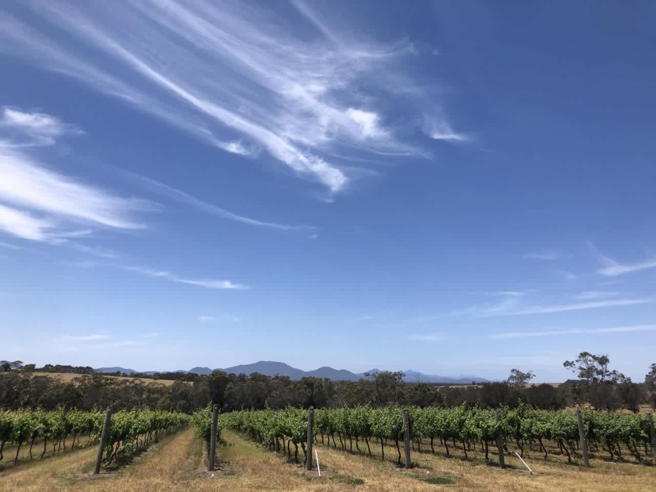 Mondurup Escape - Kendenup
