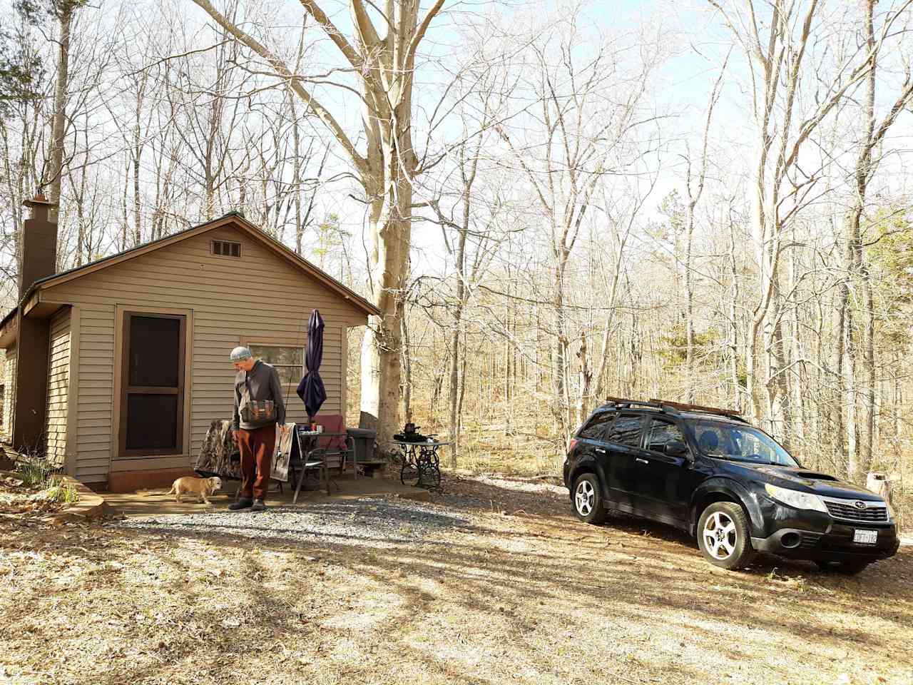 Hawthorn Hollar Cabin - thumbs up!