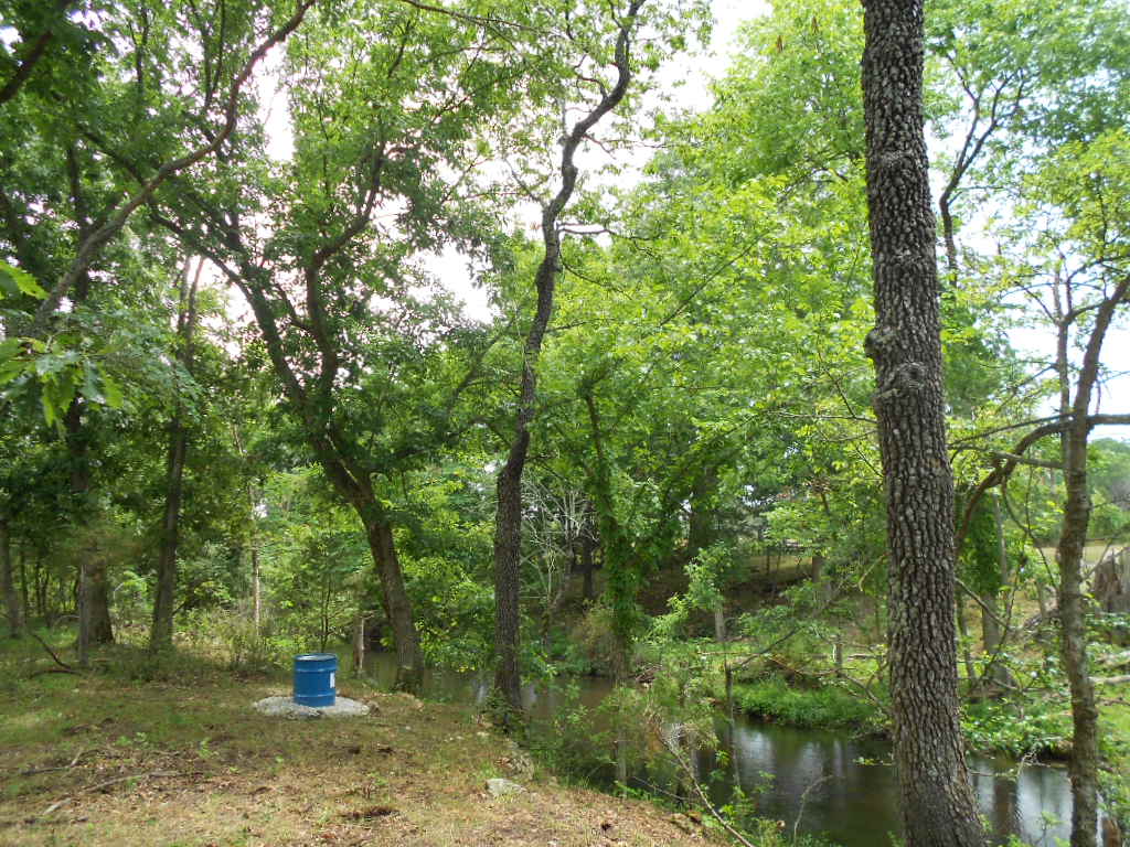 Camping In the Woods Along the Creek