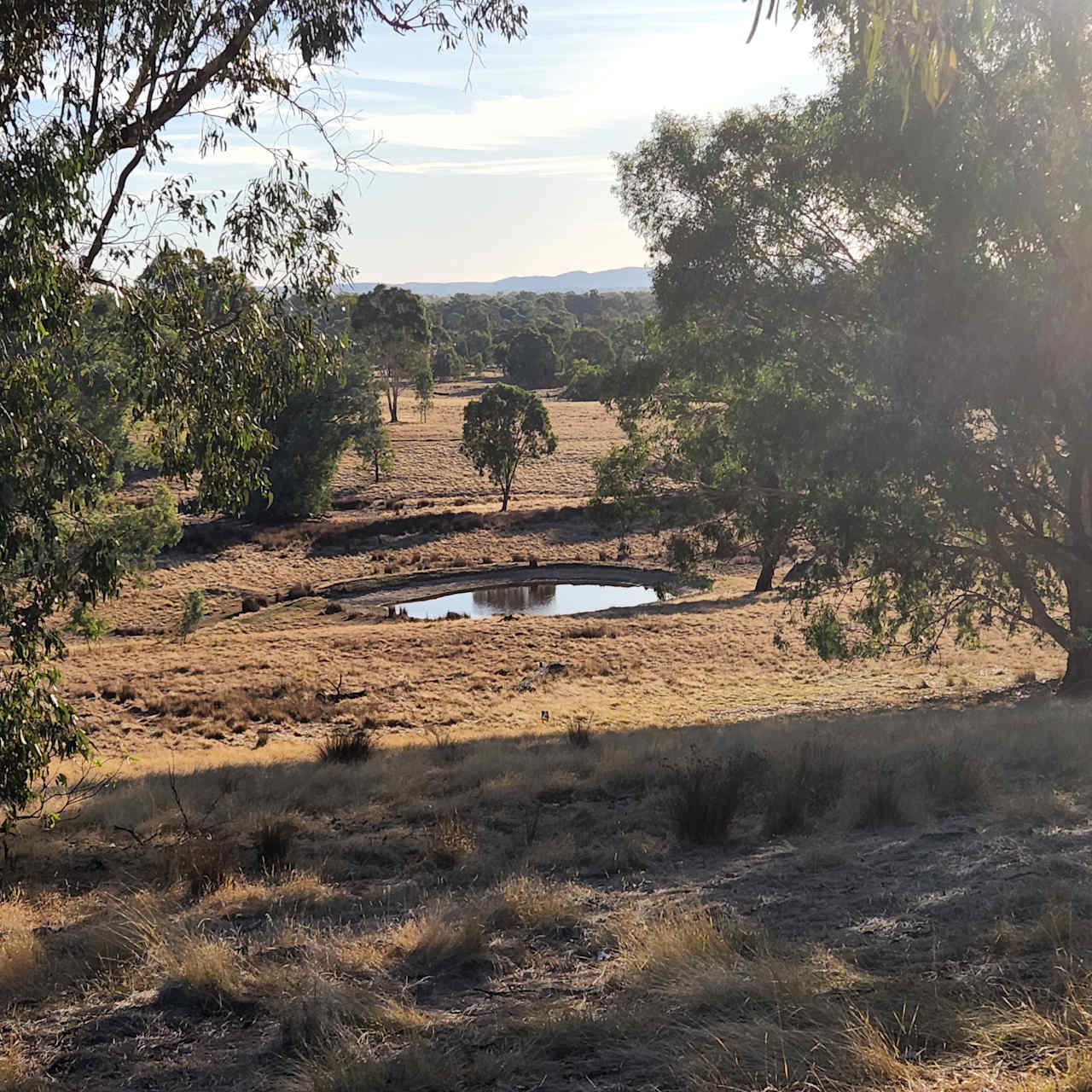 Farm Views