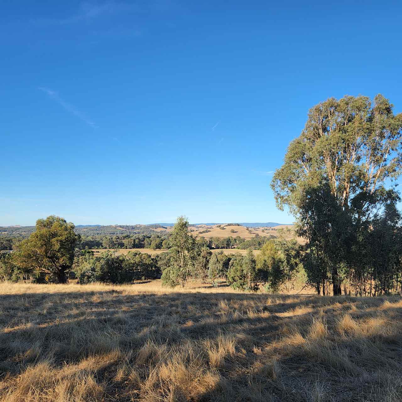 Farm Views